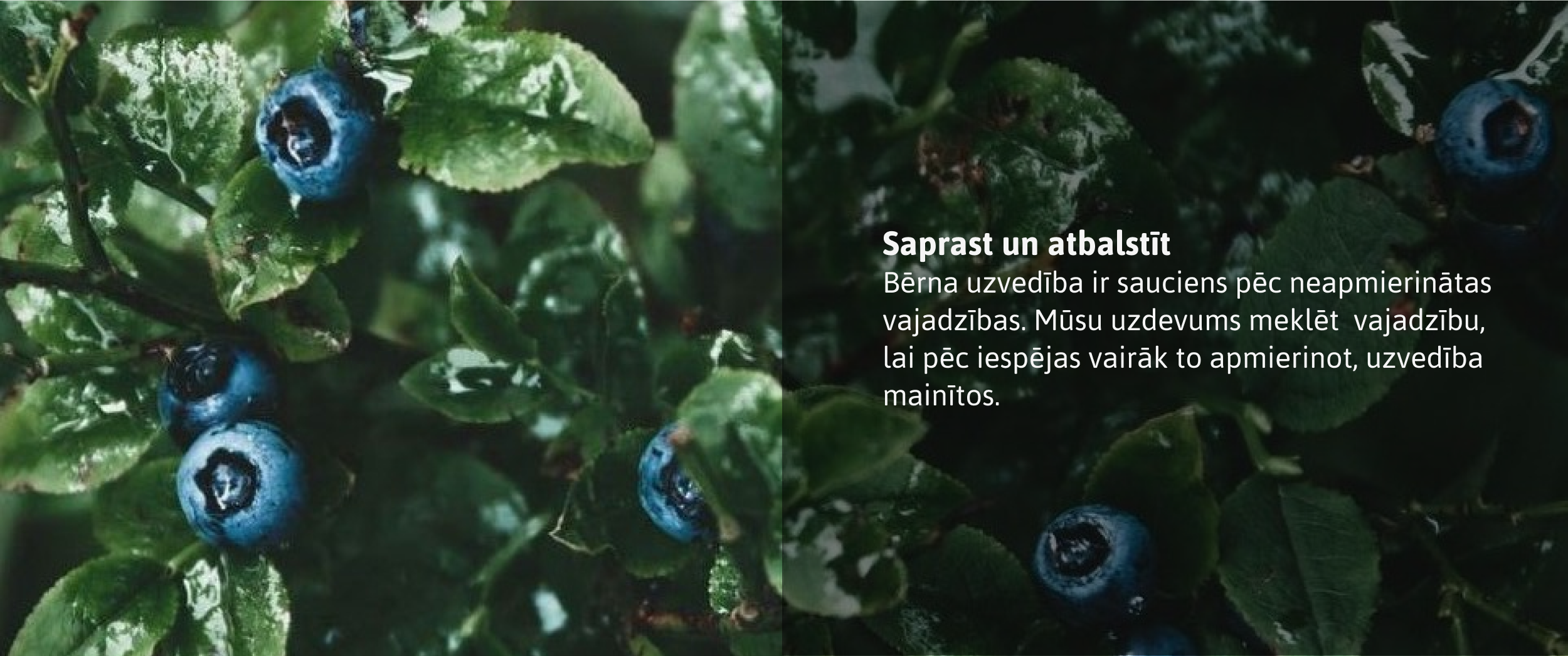 Misija 4