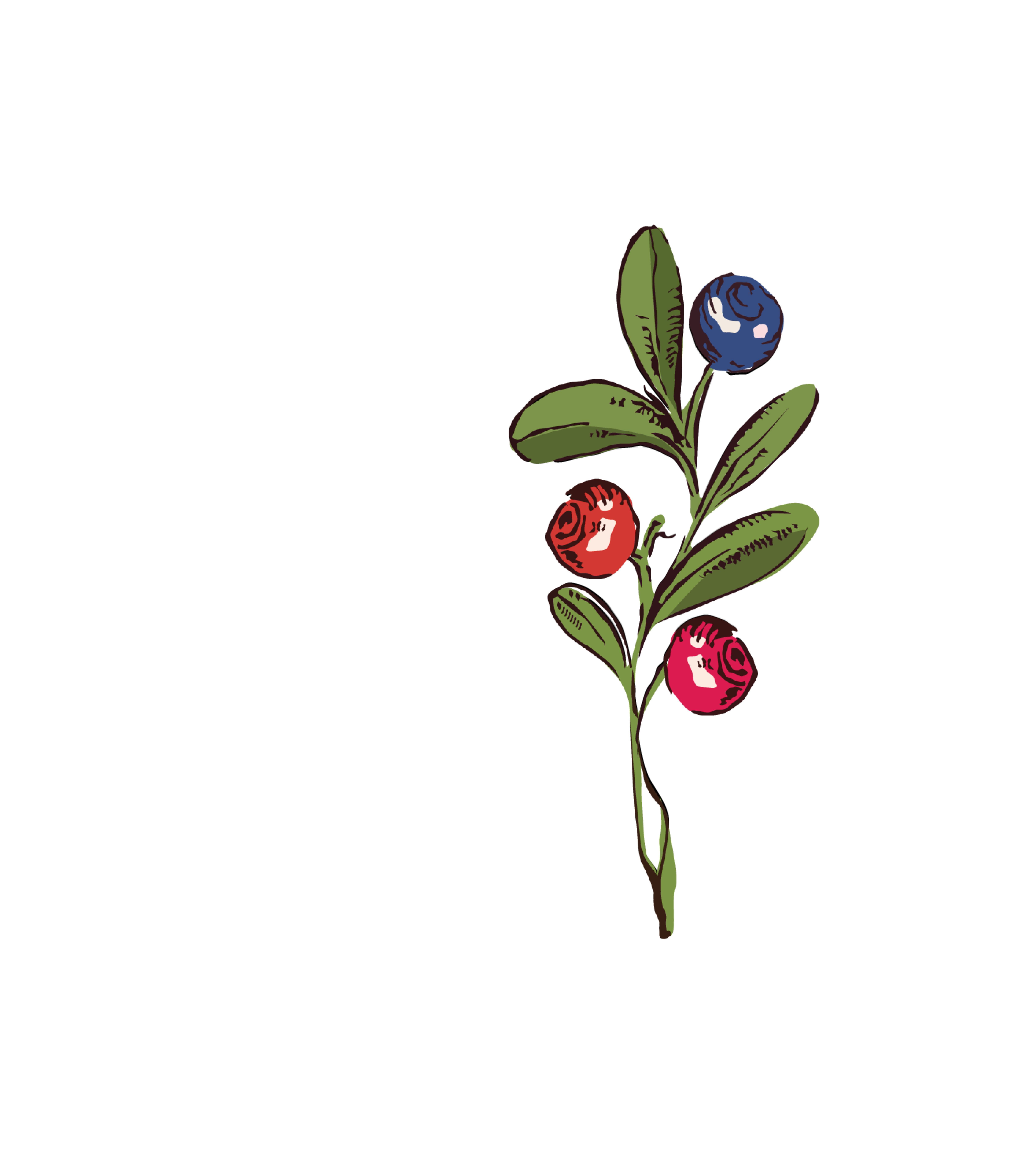 Privātais bērnudārzs
