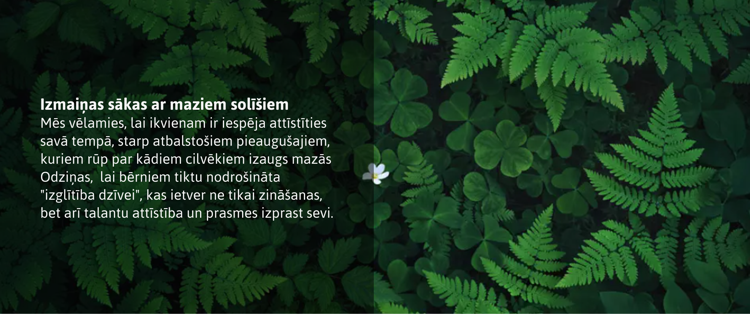 misija